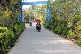 Vĩnh Long: Thạnh Phú trúng thầu đường ĐA.01, đối thủ tự loại vì lỗi kỹ thuật 