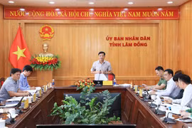 Tính đến 22/6/2026, 101/133 dự án đầu tư tại Lâm Đồng đã được định hướng tháo gỡ khó khăn về đất đai và thủ tục, mở ra kỳ vọng mới cho tăng trưởng kinh tế tỉnh