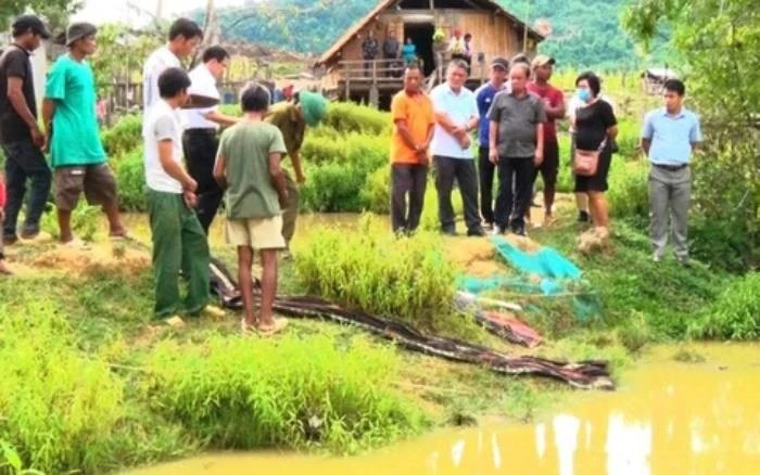 Xác nữ sinh lõa thể trong con rạch tố gã hàng xóm ác nhân