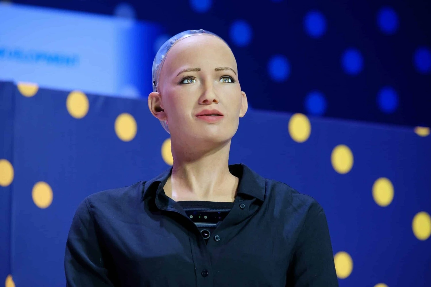 Robot từng dọa hủy diệt loài người giờ ra sao?