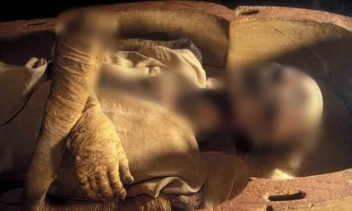 Khai quật mộ cổ, bất ngờ phát hiện xác ướp Pharaoh tóc đỏ lạ lùng