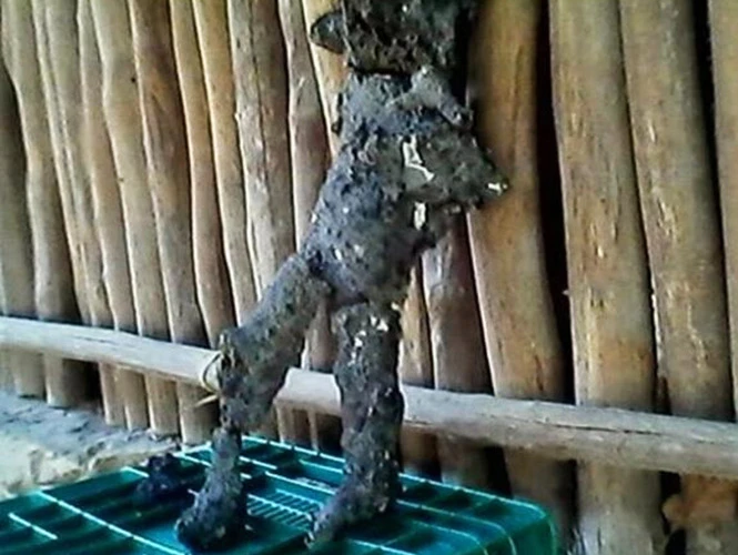 Chấn động những vụ phát hiện “xác người ngoài hành tinh" trên Trái đất 