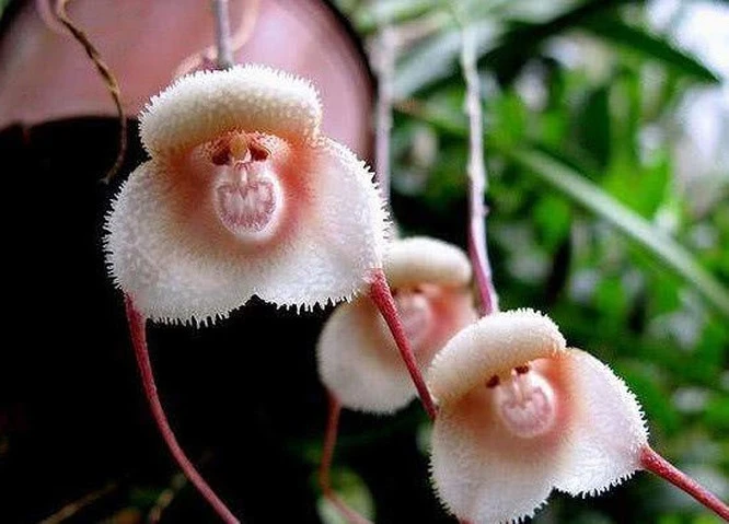 Loạt ảnh "độc" chứng minh sự diệu kỳ của tạo hóa