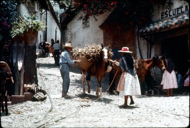 Bộ ảnh cuộc sống thanh bình ở Mexico đầu những năm 1950