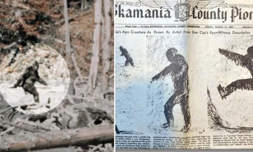 Giả thuyết sốc: "Quái vật Bigfoot là hậu duệ của người ngoài hành tinh"