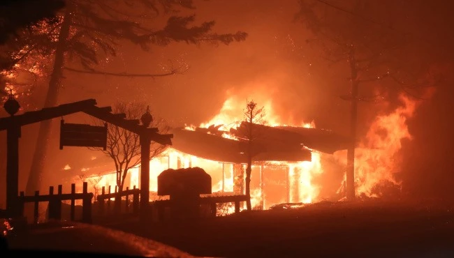 Cháy rừng California: Nhìn lại những thảm hoạ trước đó 