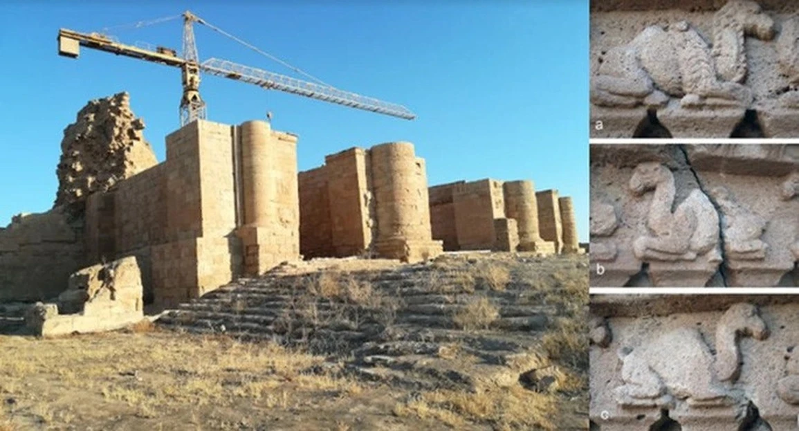 Giải mã bí ẩn bức phù điêu ở lối vào ngôi đền cổ Iraq