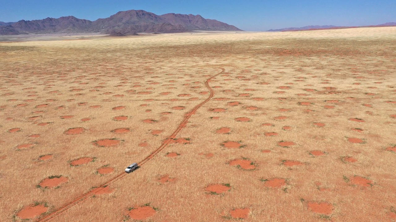 Lời giải nào cho những “vòng tròn thần tiên” ở sa mạc Namibia?