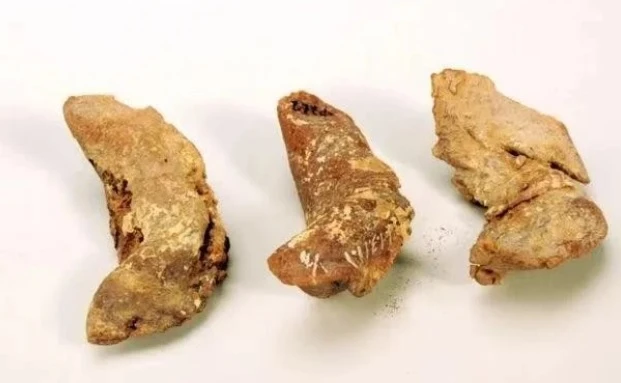Mở mộ cổ Trung Quốc, chuyên gia “dựng tóc gáy” thấy thứ lạ lùng