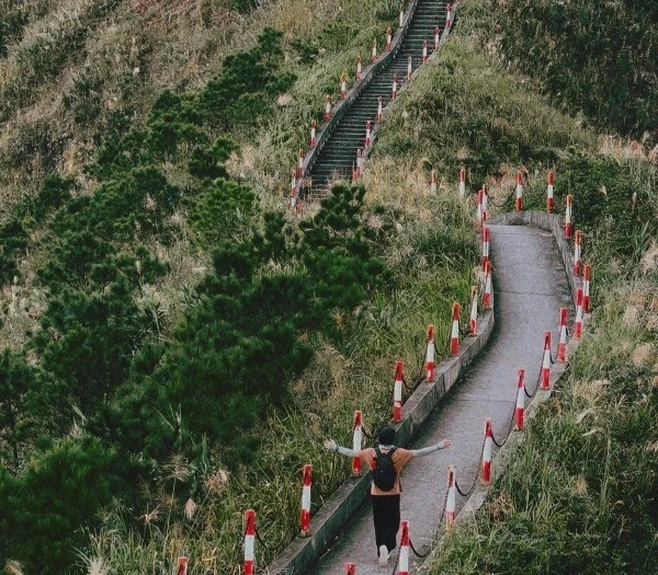 Chinh phục 'sống lưng khủng long' Bình Liêu săn cỏ lau trắng giữa núi rừng
