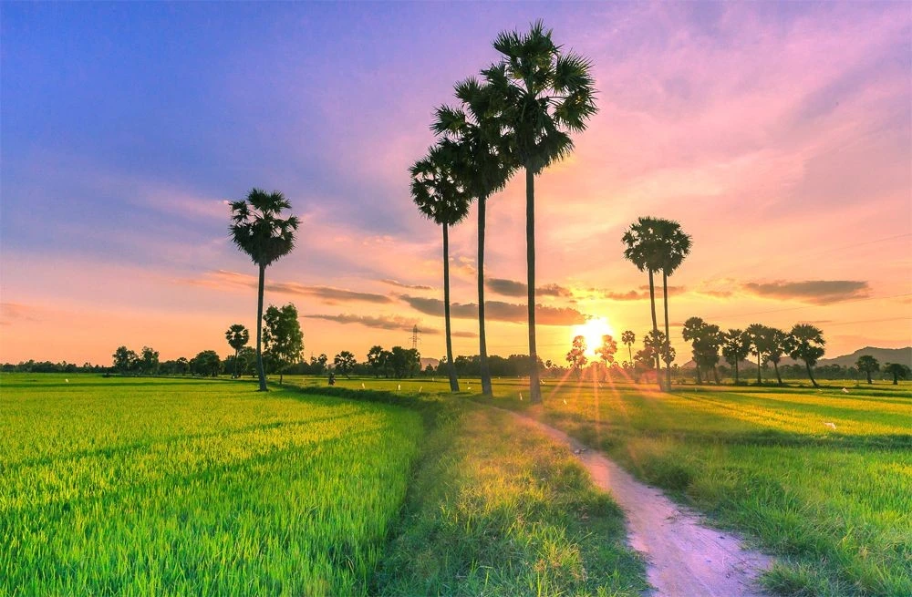 3 điểm du lịch đẹp, ít người biết dành cho người mê khám phá nhẹ nhàng