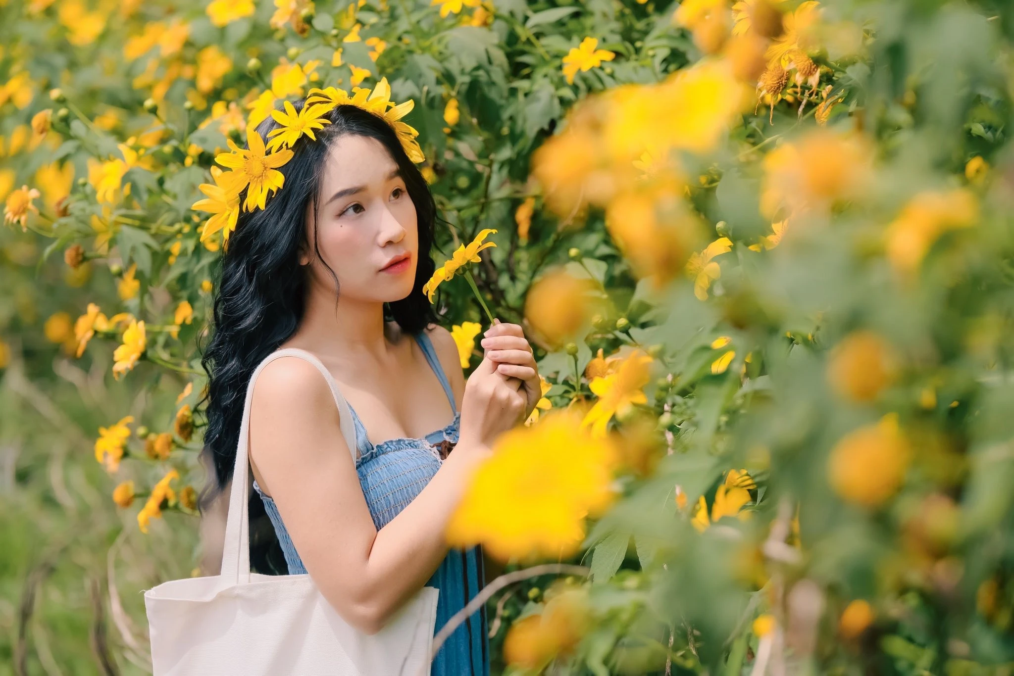 3 tọa độ 'săn' hoa dã quỳ lý tưởng cho du khách ở Đà Lạt