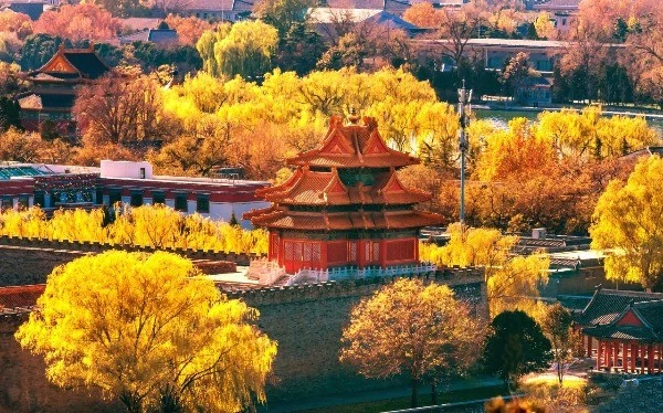 Bỏ túi trọn bộ kinh nghiệm du lịch Trung Quốc tự túc cho người mới đi lần đầu