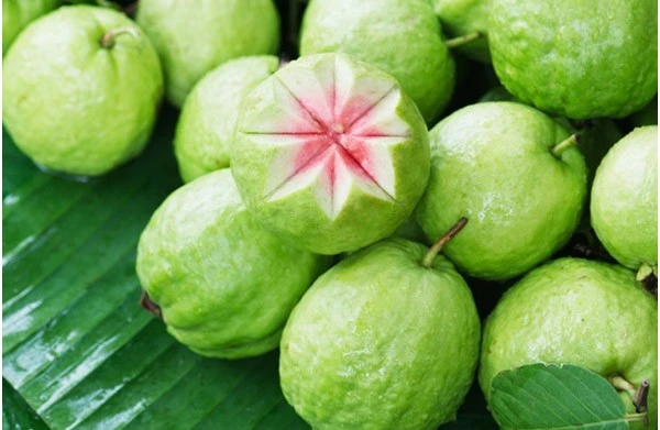 Ăn ổi đúng cách sẽ trở thành 'trợ thủ' kiểm soát đường huyết