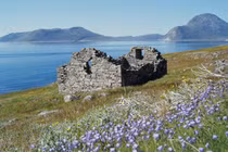 Bí ẩn về những người Viking cuối cùng sống giữa băng giá Greenland