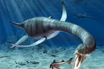 Phân tích DNA hồ Loch Ness hé lộ điều gì về sinh vật bí ẩn?