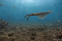 Anomalocaris – quái vật dài 1 mét thống trị đại dương 500 triệu năm trước