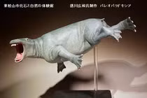 Paleoparadoxia: Loài thú móng guốc khổng lồ kỳ dị sống dưới đáy biển
