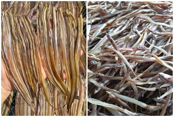 Loại cá xưa "rẻ như cho" nay 300.000/kg hút khách