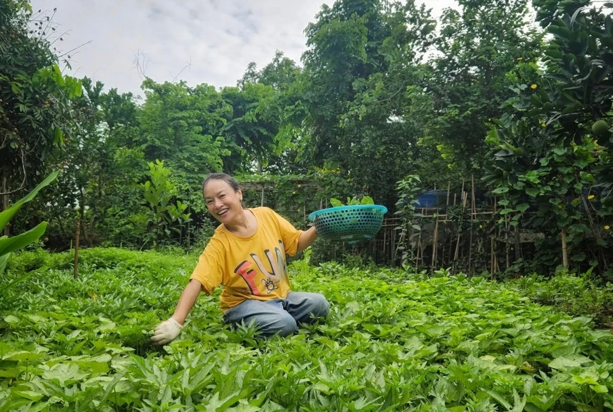 Vườn rau hơn 3.000 m2 ven sông Hồng của diễn viên Tú Oanh