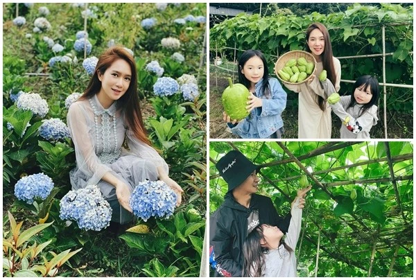 Nông trại nghìn mét vuông ở Đà Lạt của Lý Hải - Minh Hà