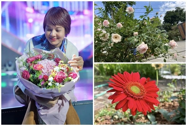 Cơ ngơi nghỉ dưỡng ngập hoa hồng ở ngoại ô của MC Diễm Quỳnh