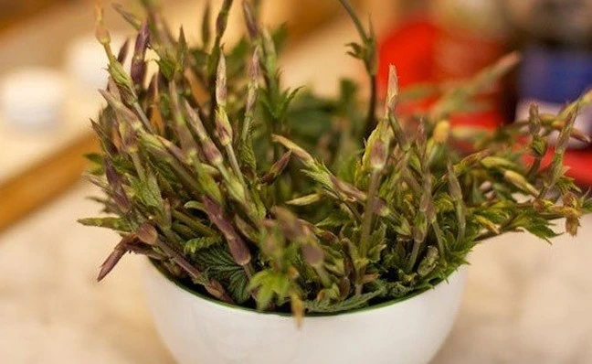 "Sửng sốt" loại rau từng bị vứt bỏ, nay 39 triệu đồng/kg