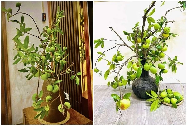 Vừa đến mùa, cành quả thị đã "gây sốt" chợ mạng 