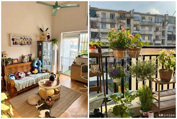 Cô gái biến phòng trọ 20m2 cũ kỹ thành tổ ấm tiện nghi 