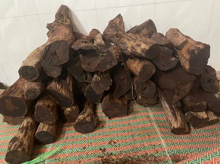 Loại gỗ "vô danh" 3 triệu đồng/kg ở Quảng Trị đang gây sốt có gì đặc biệt?