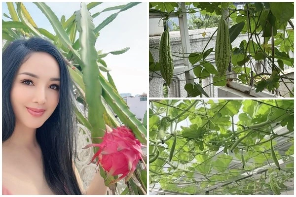 Vườn sân thượng trĩu quả trong biệt thự 1.000m2 của Giáng My