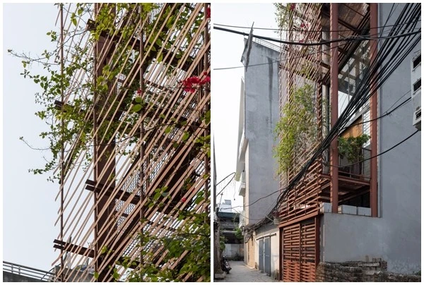 Không có giếng trời, nhà Hà Nội vẫn thoáng sáng lạ thường 