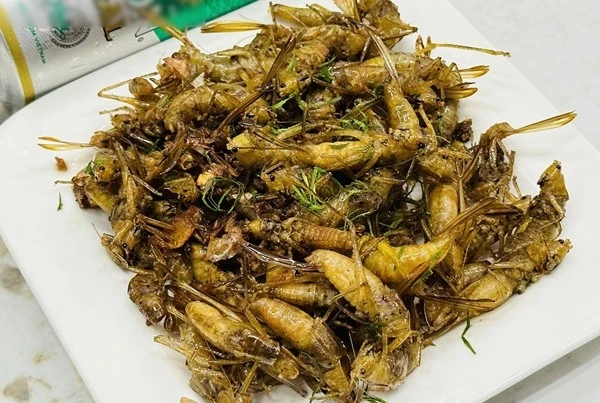 Đặc sản quê đắt ngang tôm hùm, có tiền chưa chắc mua được
