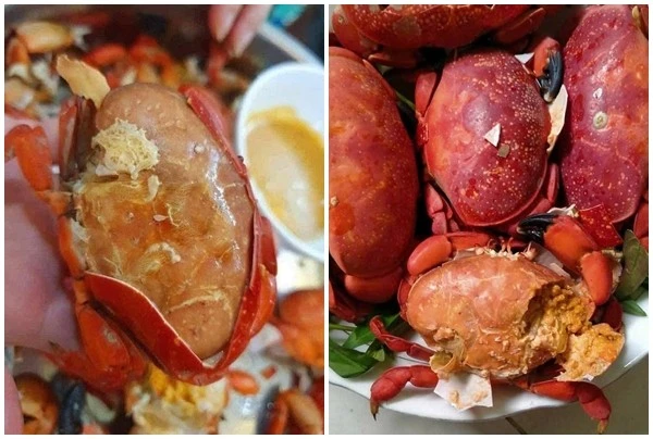 Cua hoàng đế phiên bản Việt gây sốt ở Quảng Ninh ngon, rẻ cỡ nào?