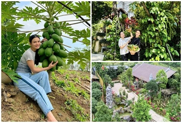 "Biệt phủ" 8.000m2 ngập tràn cây trái của nữ NSND trẻ nhất Việt Nam