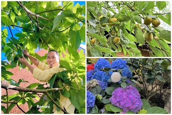 Toàn cảnh biệt phủ hoa trái lúc lỉu của danh hài Vượng Râu
