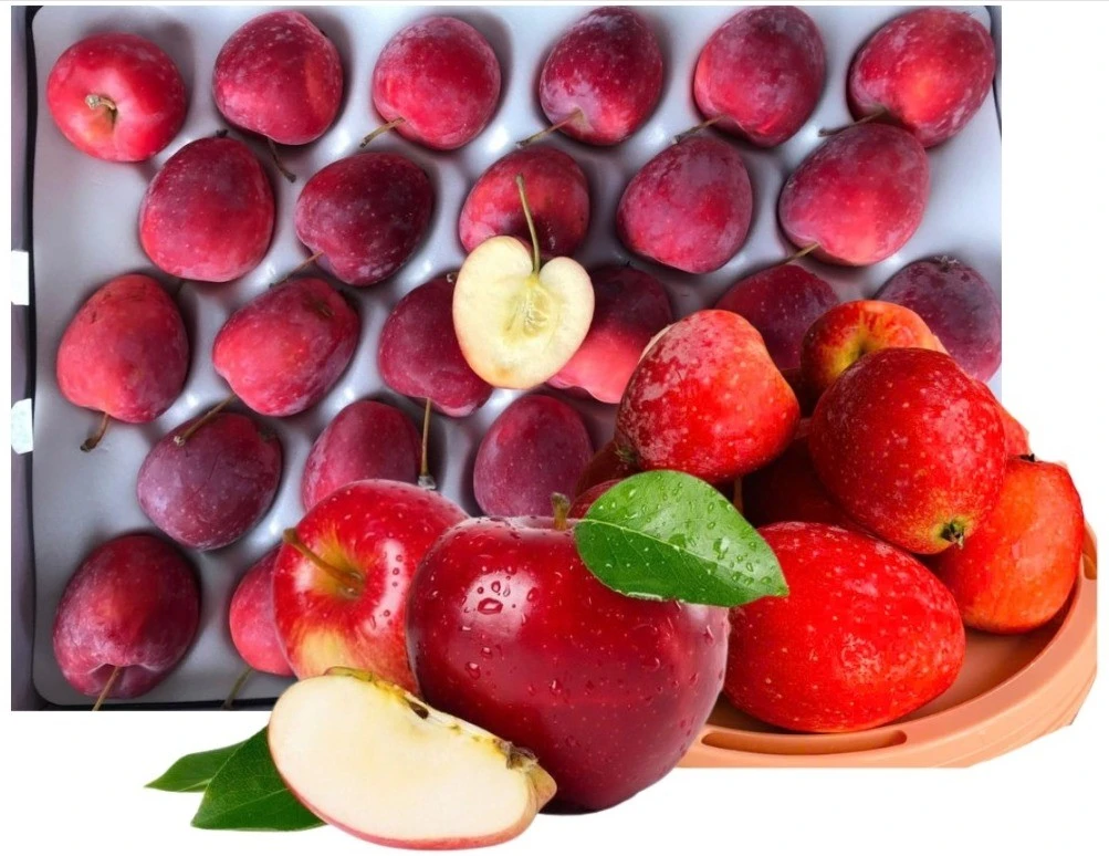 Táo cherry đắt gấp 2–3 lần táo thường vẫn "cháy hàng"