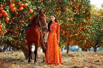 Gallery - Dự đoán ngày mới 26/9/2026 cho 12 con giáp: Tuất gặp quý nhân, Hợi đón lộc  - image 12