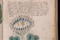 Bản thảo Voynich: Kiệt tác 600 năm tuổi hay cú lừa tinh vi nhất lịch sử?