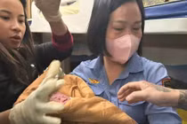Kỳ tích đỡ đẻ sinh non 34 tuần trên tàu SE4