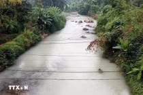 Vịt chết bất thường khi nước sông Cầu đổi màu tại Thái Nguyên