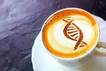 Caffeine có thể kích hoạt 'công tắc' tế bào cổ xưa liên quan đến lão hóa
