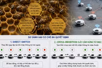 Thuật toán lấy cảm hứng từ loài ong giúp điều khiển đàn robot
