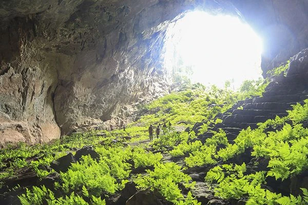 Mãn nhãn loạt báu vật vô giá ở VQG Phong Nha - Kẻ Bàng (2)