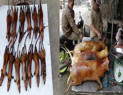 Những đặc sản Việt vào top món ăn kinh dị TG