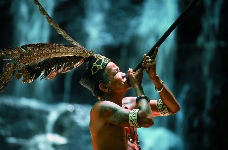 Lạ lùng tộc người giống người Việt cổ trên đảo Borneo
