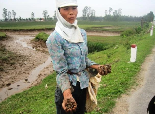 Tận mắt chứng kiến nỗi khổ “mò cua bắt ốc” thời nay