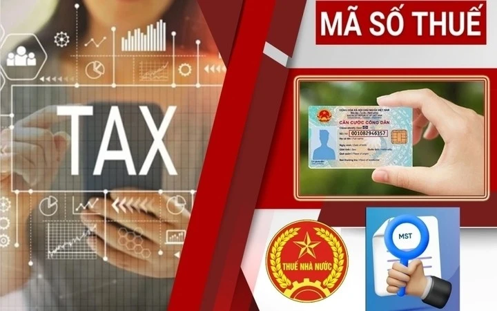 [VIDEO] Cục Thuế giảm thời gian xử lý mã số thuế còn 3 ngày