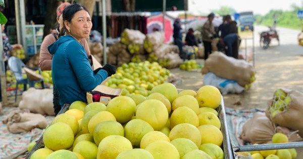 Tấp nập phiên chợ được nhuộm bằng màu vàng bưởi chín ở Hà Tĩnh