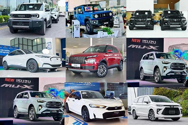 [GALLERY] Top ôtô ế nhất Việt Nam - Land Cruiser FJ và Hyundai Venue góp mặt